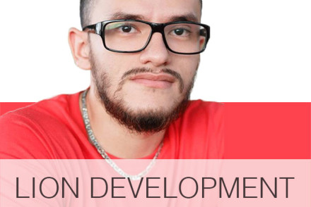 Lion Development Digital Marketing and Consultancy