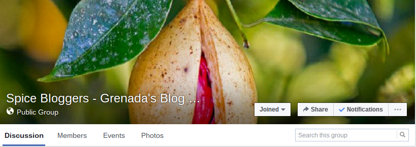 Spice Bloggers - Grenada's Blog Community